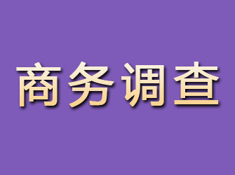 石林商务调查